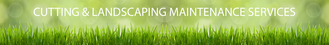 landscaping WNY lawn care WNY